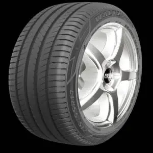 MAXXIS MS2 輪胎