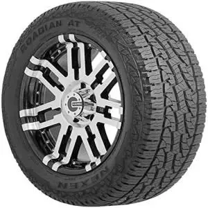 NEXEN ROAT PRO RA8 輪胎