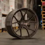 STANCE SF07 #7